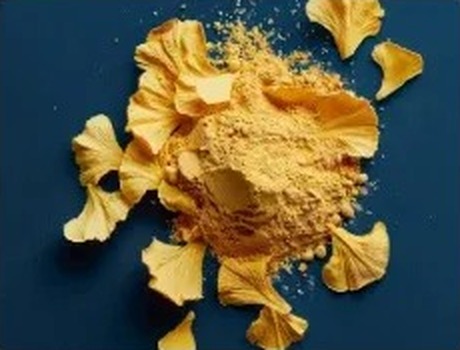 Ginkgo biloba powder